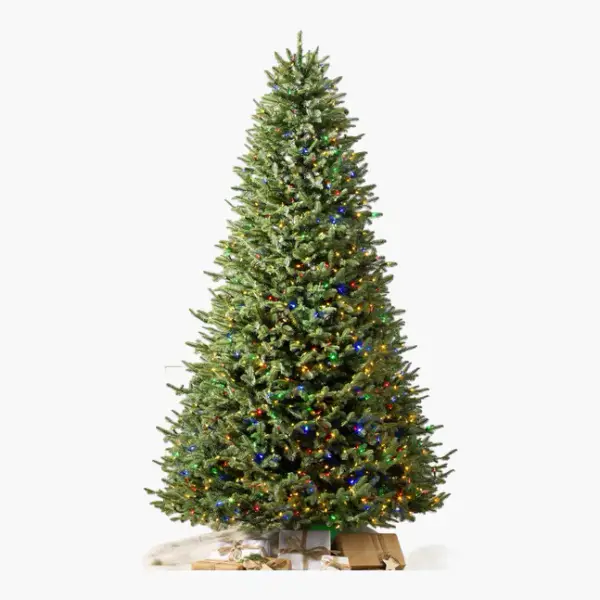 BH Balsam Fir Christmas Tree