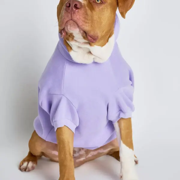 Pastel Paw Hoodie