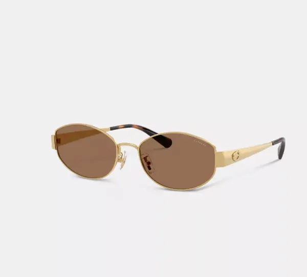 C Hardware Metal Narrow Oval Sunglasses