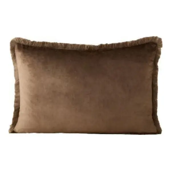 Brandis Velvet Pillow