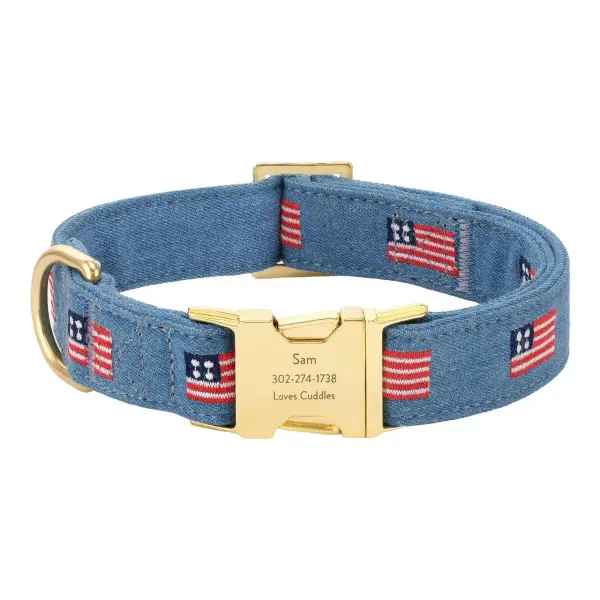 American Flag Embroidered Dog Collar
