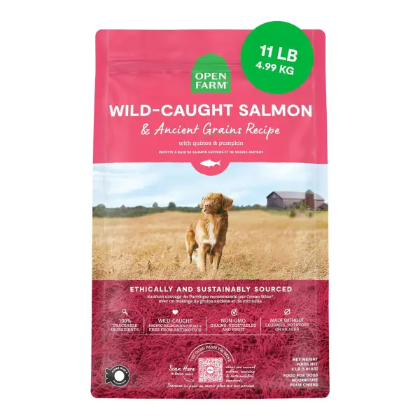 Wild-Caught Salmon & Ancient Grains Dog Kibble