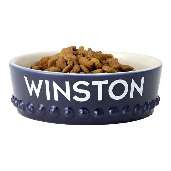 Beaded Ceramic Pet Bowl