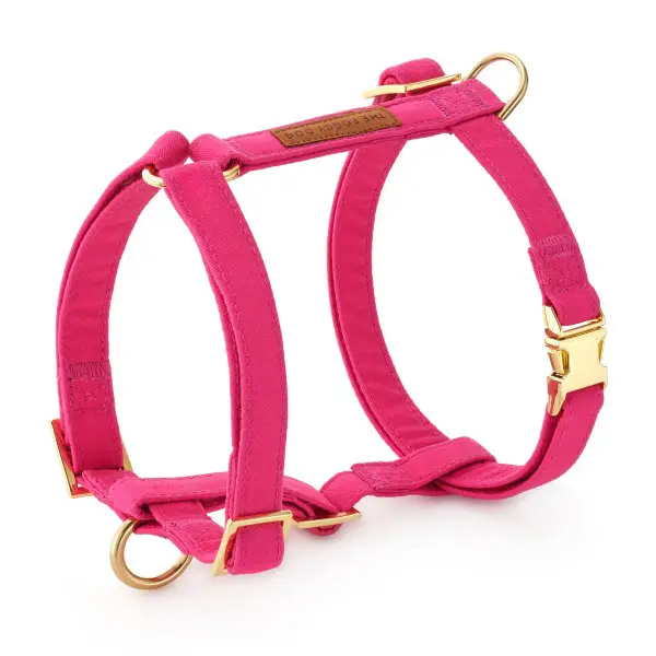 Dog Harness