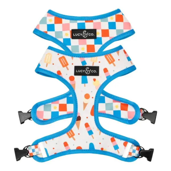 Reversible Harness