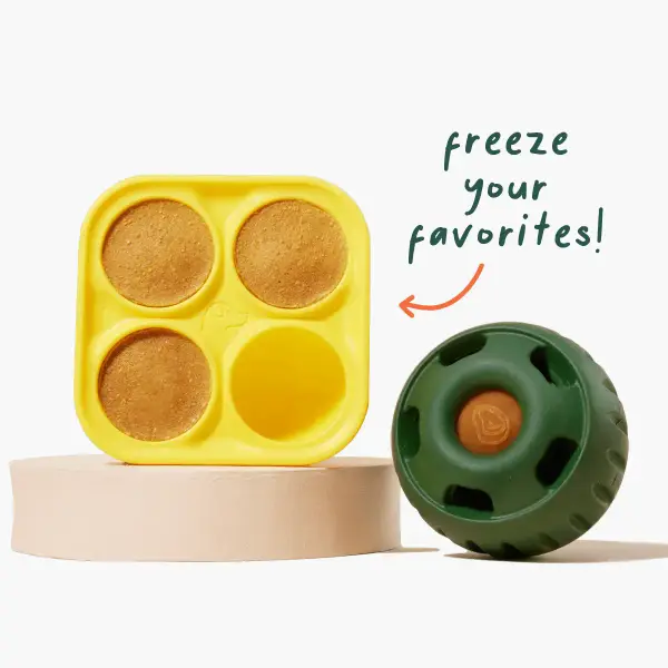 Pupsicle Treat Tray, X-Large