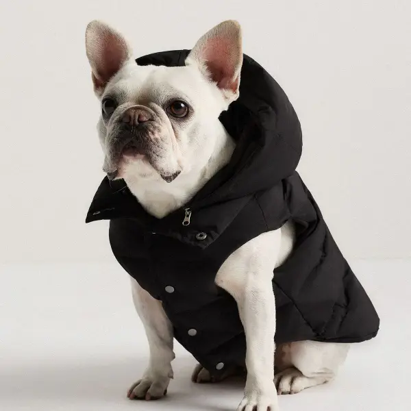 Waterproof Dog Puffer Jacket