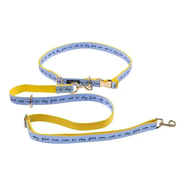 Raining Cats And Dogs Hands Free Pet Leash
