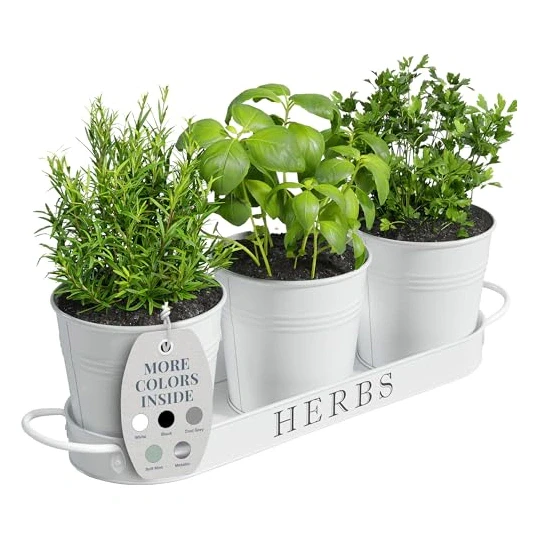 Barnyard Designs Indoor Herb Garden Planter Set with Tray