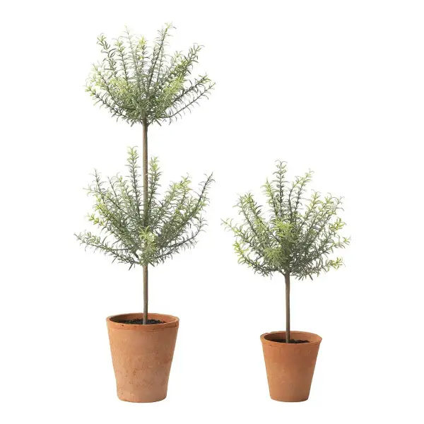 Potted Faux Rosemary Topiary