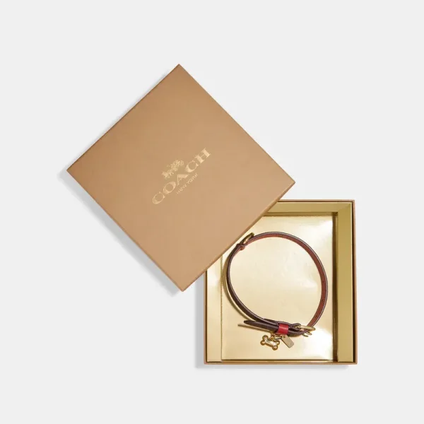 Coach Outlet Boxed Medium Pet Collar In Signature Canvas - Women's Accessories - Gold/brown Black/red Apple