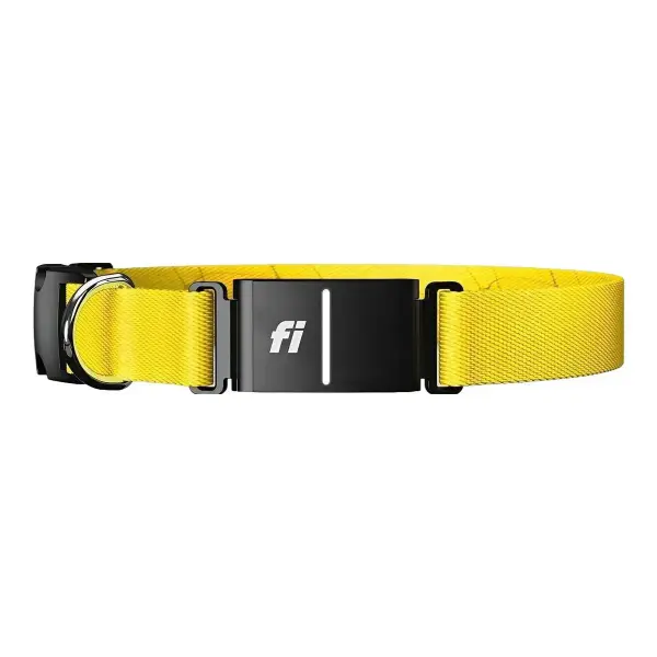 3+ Series Smart Dog Collar Gps