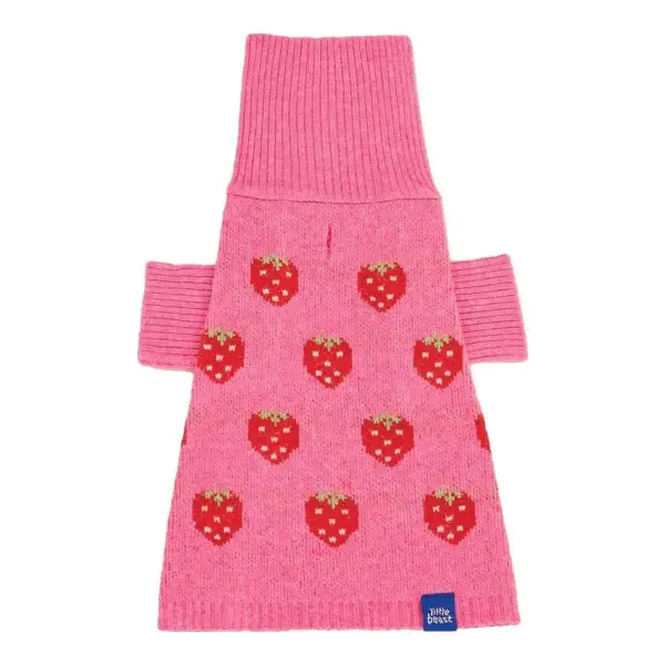 The Strawberry Sweater