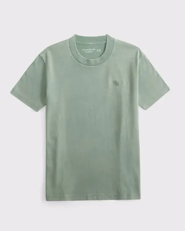 boys washed essential icon crew tee | boys new arrivals | Abercrombie.com