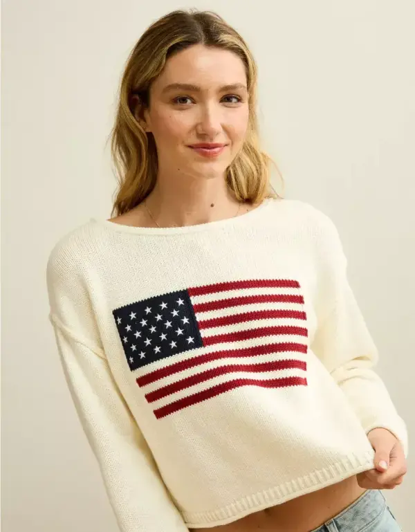 AE American Flag Graphic Sweater