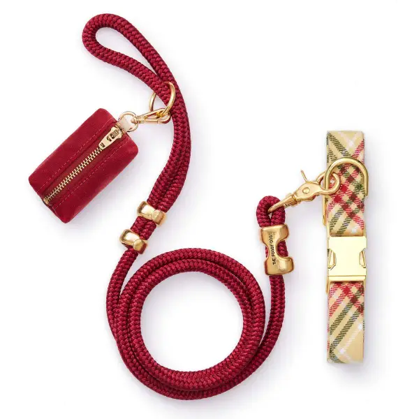 Plaid Flannel Collar Walk Set
