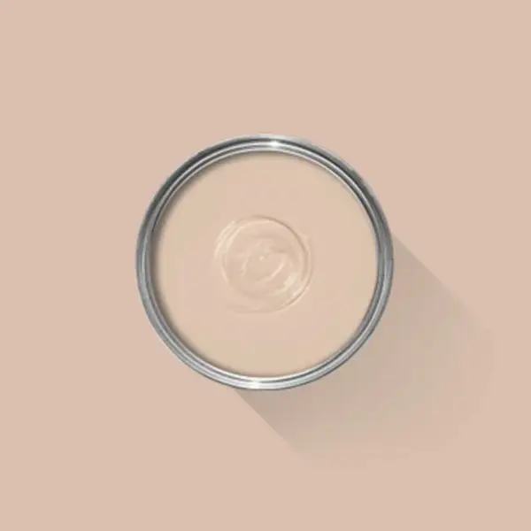 No. 231 Setting Plaster