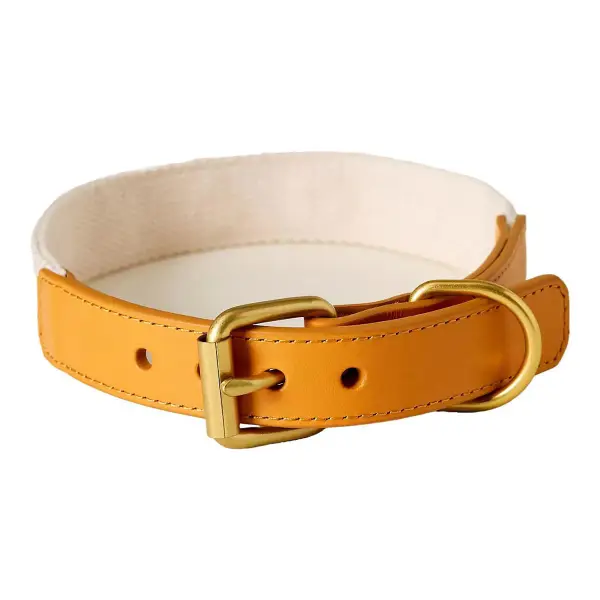 Summer Icon Needlepoint Pet Collar