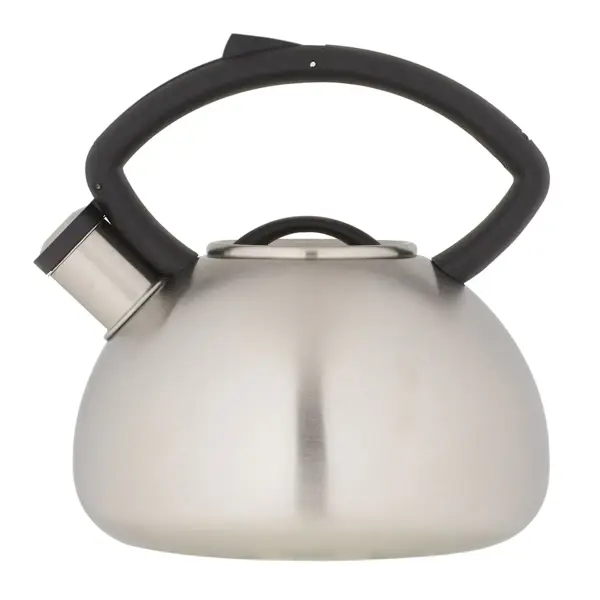 Copco Valencia Silver Stainless Steel Tea Kettle