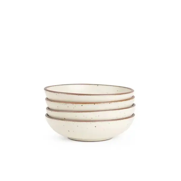 Everyday Bowl 4 Pack