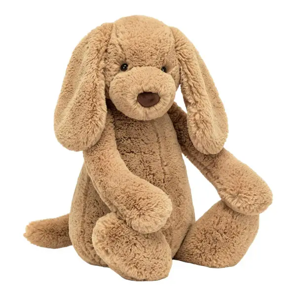 Bashful Toffee Puppy