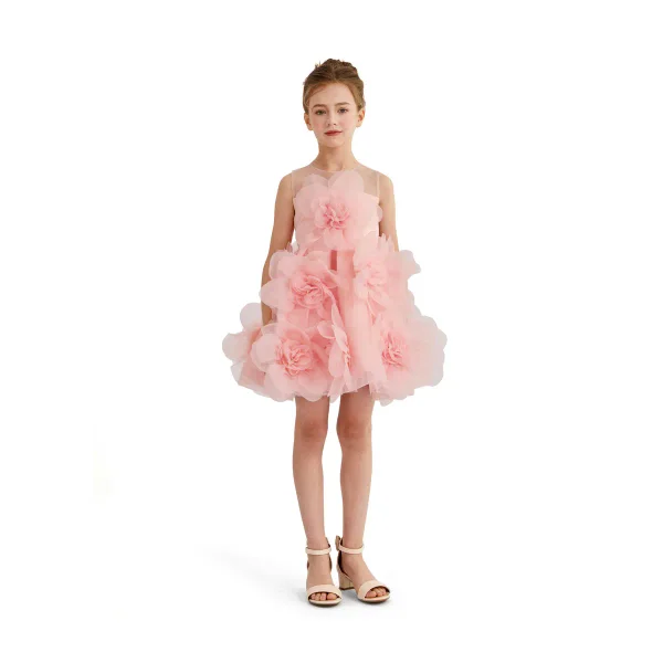 Rose Briellea Embellished Sleeveless Dress