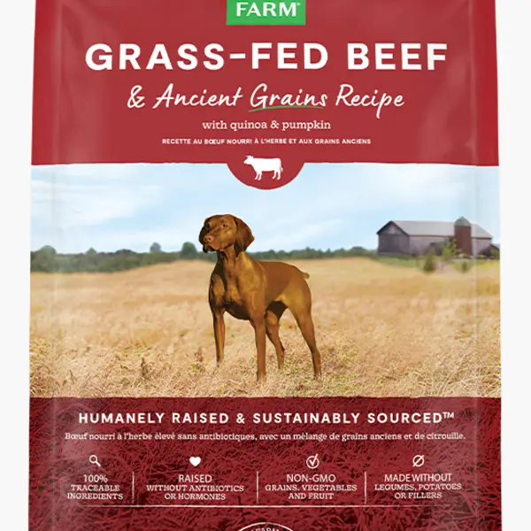 Grass-Fed Beef & Ancient Grains Dog Kibble
