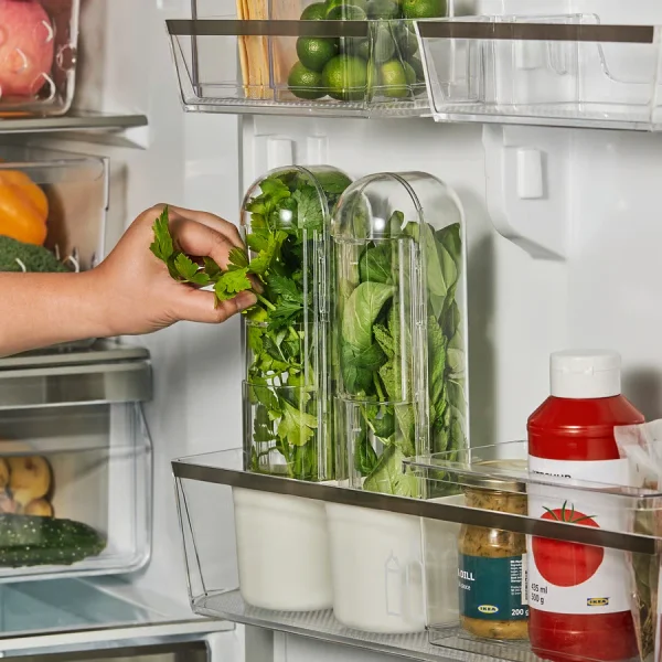 KLIPPKAKTUS Herb storage for fridge