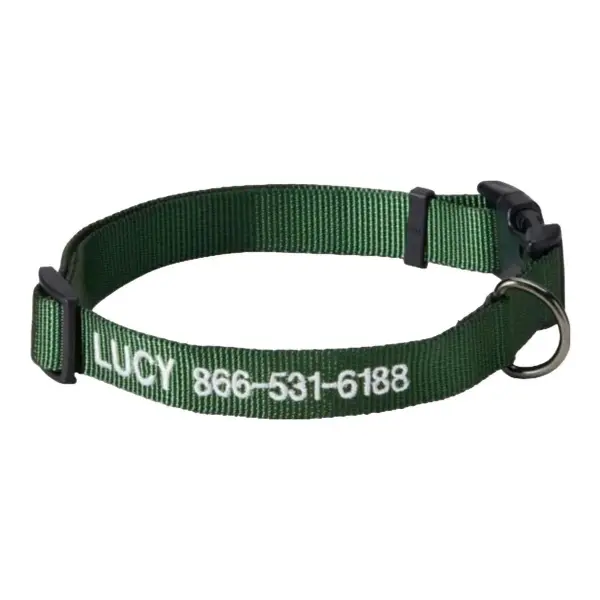 Personalized Side-Release Buckle Collar